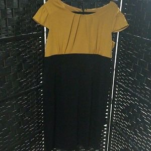 Tiana B Gold and black sheath dress size 16
